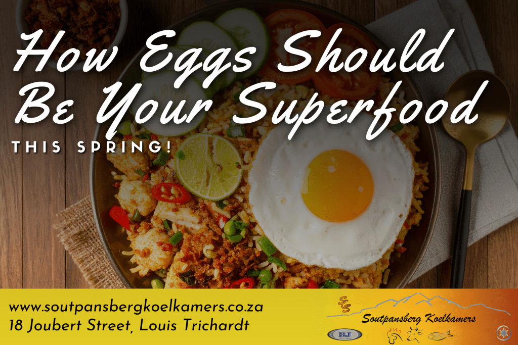 How Eggs Should Be Your Superfood This Spring!